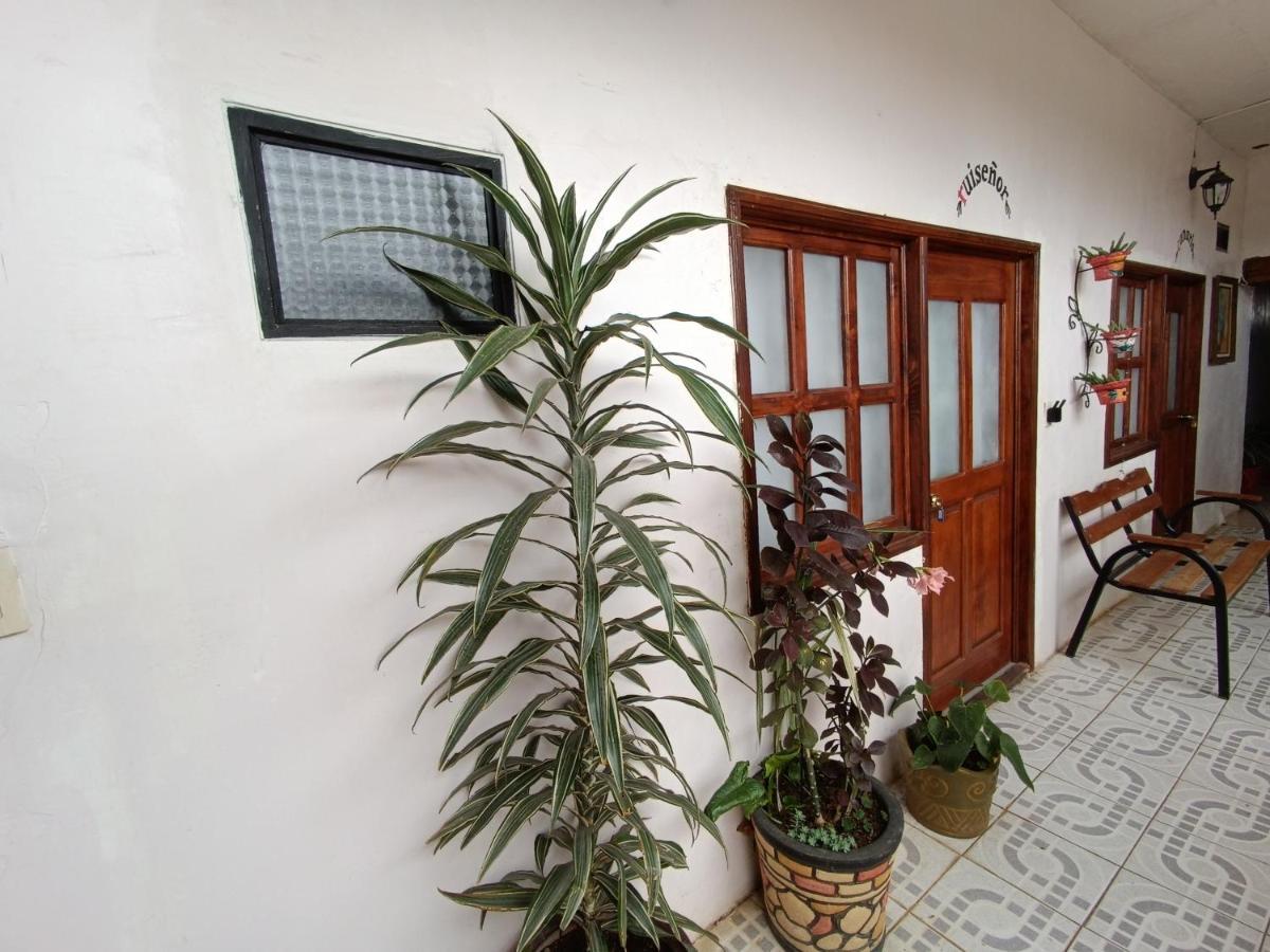 Casa Petirrojo - Habitaciones En Pátzcuaro Εξωτερικό φωτογραφία